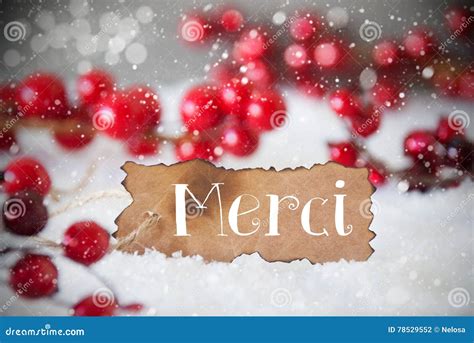 Burnt Label Snow Snowflakes Merci Means Thank You Stock Photo