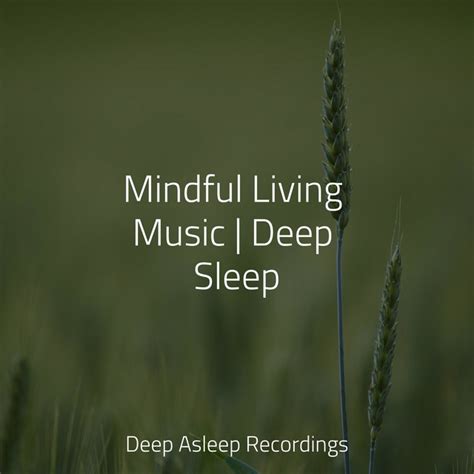 Mindful Living Music Deep Sleep Album By Guided Meditation Music