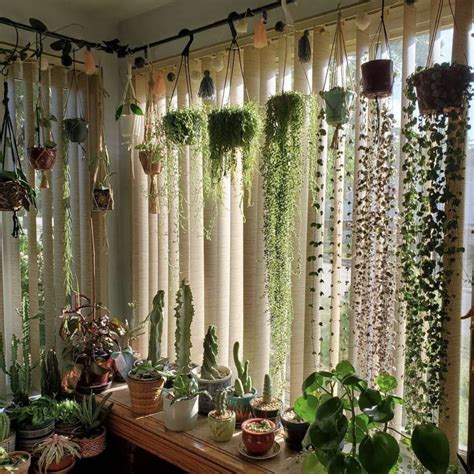 How To Use Greenery On Curtains Storables