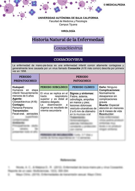 SOLUTION Historia Natural De La Enfermedad Coxsackievirus Studypool