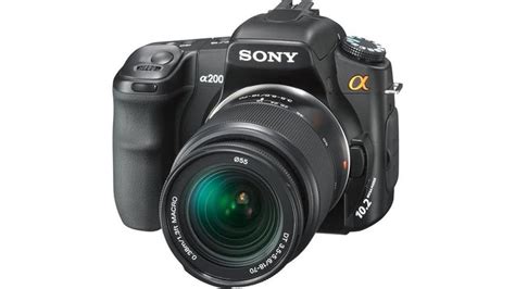 9 Best Sony Cameras for Wildlife Photography - Capture the Wild With ...