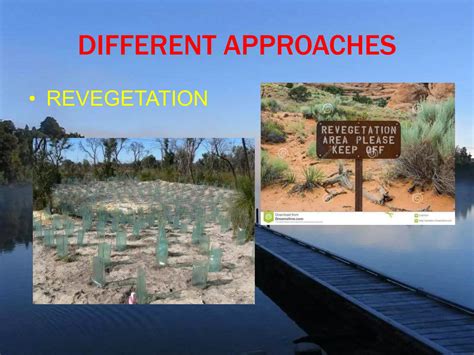 Ecosystem Restoration Restore Ecosystem Ppt