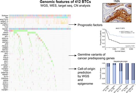 Genomic Characterization Of Biliary Tract Cancers Identifies Driver