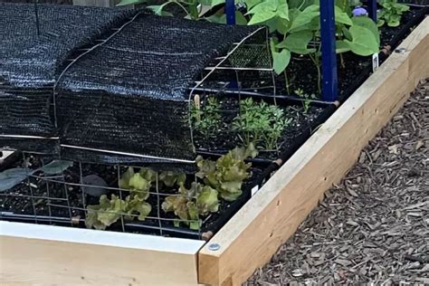 Diy Archives Square Foot Gardening