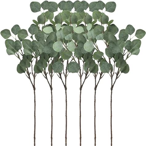 Amazon Supla 6 Pcs Artificial Silver Dollar Eucalyptus Leaf Spray