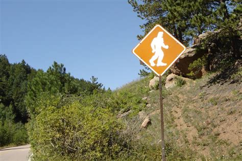 Driver Spots Bigfoot Walking Across Rural Highway In Whitehall New York