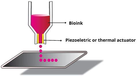 JFB Free Full Text 3D Bioprinting Technology And Hydrogels Used In