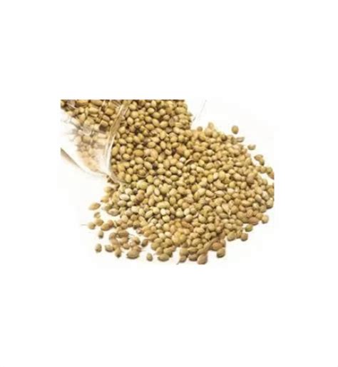 Coriander Seeds Testing Services At Sample In New Delhi Id