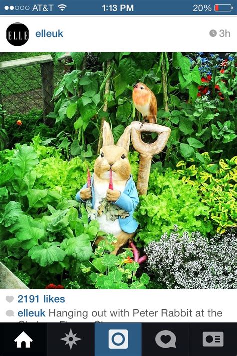 Peter Rabbit garden statue | Rabbit garden, Petter rabbit, Garden statues