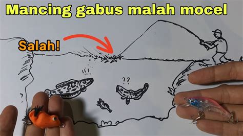 Cara Mancing Casting Ikan Gabus Biar Tidak Mocel Youtube