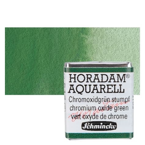 Schmincke Horadam Aquarell Artist Watercolor Chromium Oxide Green Half Pan Blick Art Materials