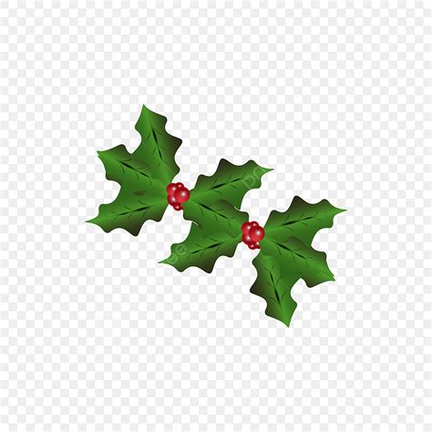 Holly Transparent Background Design Png Png Holly Holly Holly