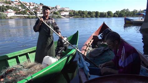 Rio Tejo Pesca E Pescadores Tarde De 18 Maio 2016 Youtube