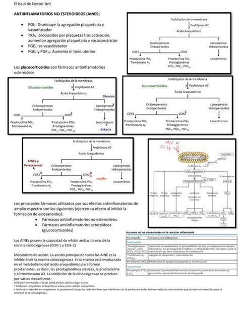 Antiinflamatorios No Esteroideos Nestor Vasquez Udocz