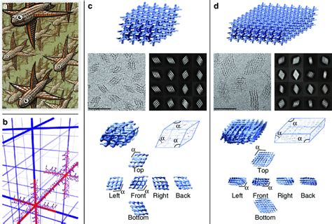 Three Dimensional 3d Multi Layer Arrays With 6 Arm Vertices A