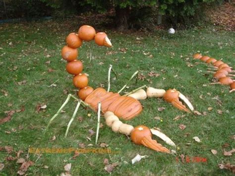 Photos of Amazing, Unique Pumpkin Carving Designs | HubPages