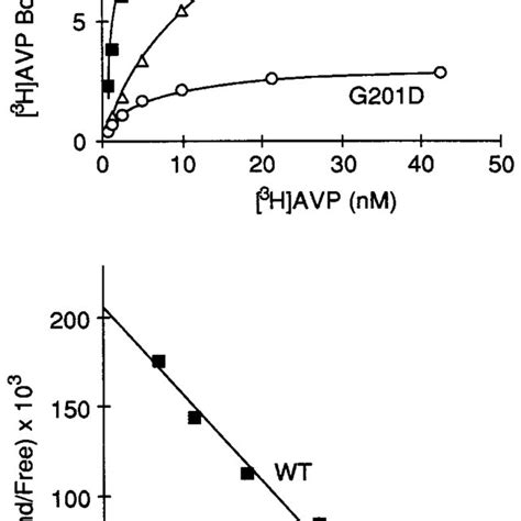 Saturation Binding Assays For Wild Type And Mutant V2rs Intact Cell Download Scientific Diagram