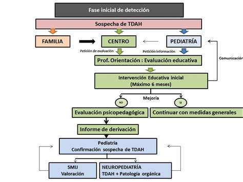 Proceso De Detecci N Valoraci N E Intervenci N En Personas Con Tdah En