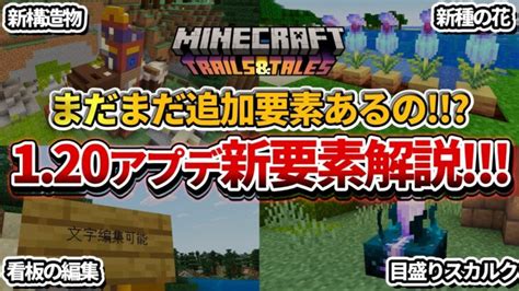 まだあります【マイクラ】120アプデの新要素「旅路の遺跡」が公開されました【peps4switchxboxwin10