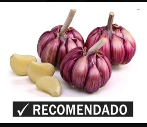 Alho Roxo Kg Plantio Ou Consumo In Garlic Vegetables Food