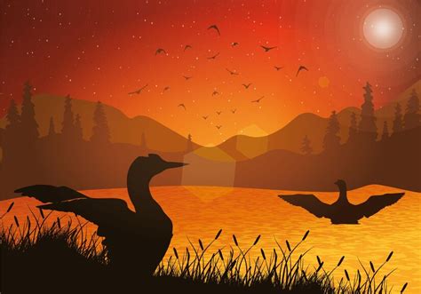 Premium Vector Loon Sunset