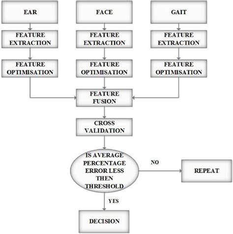 Proposed Workflow Diagram Download Scientific Diagram