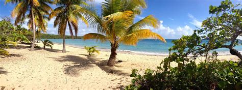 A Guide To Vieques Island Beaches | Vagrants Of The World Travel