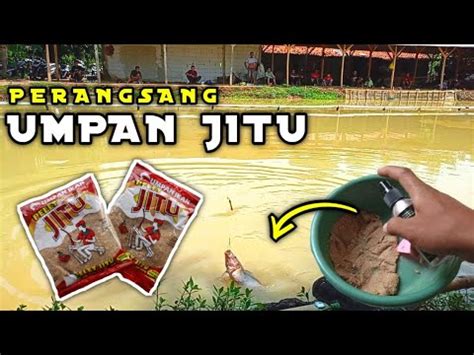 Racikan Terbaru Umpan Ikan Mas Pelet Jitu Merah Perangsang Bikin