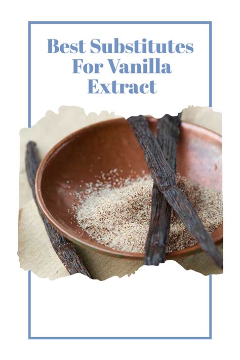 Best Substitutes For Vanilla Extract Artofit