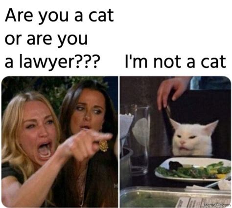 Zany Zoom Cat Or Lawyer You Decide Film Daily