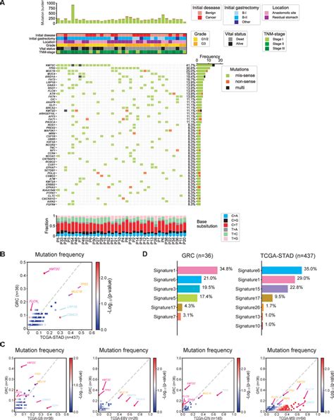 Landscape Of Somatic Mutations And Mutational Signatures In Grc A