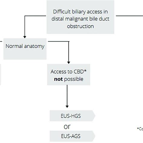 Algorithm For The Selected Eus Bd Procedure In Distal Malignant Bile Download Scientific