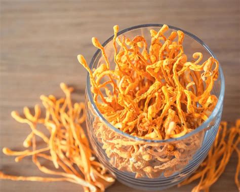 Cordyceps Inteligentes Mejora Energ A Y Rendimiento Cerebral Iccsi