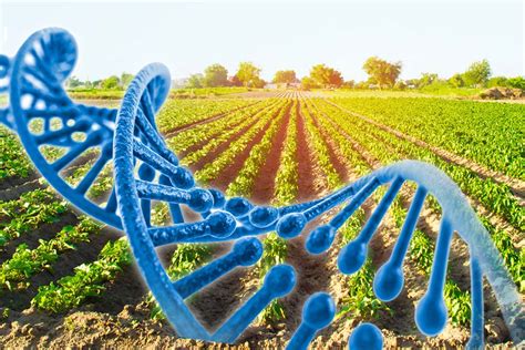 Biotecnología para atender necesidades del campo mexicano Gaceta UNAM