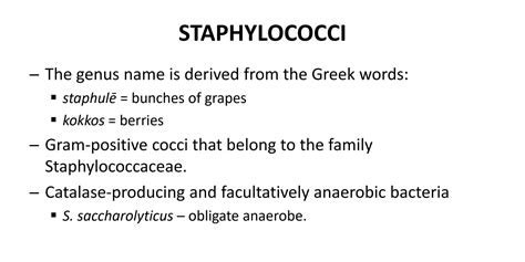 Solution Semi Final Gram Positive Cocci Staphylococci Studypool