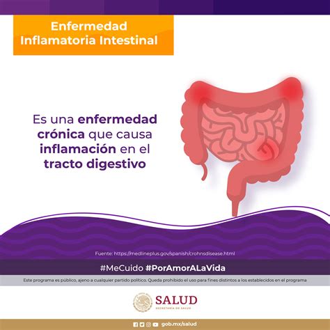 Enfermedad Inflamatoria Intestinal Padecimiento Autoinmune