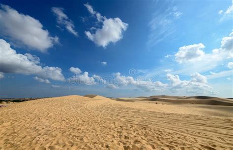 Le Paysage Des Dunes De Sable Blanches Abandonnent Et Oasis Image Stock