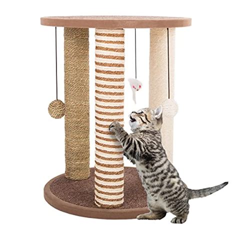 12 Best Scratching Posts For Large Cats In 2022