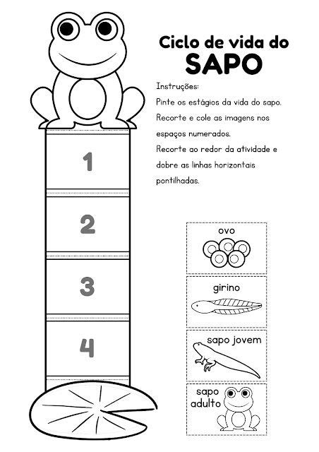 Blog Educação E Transformação Aula De Ciências Cadernos De Ciências Interativos Ciclo Da Vida