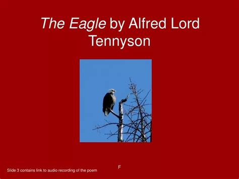 PPT - The Eagle by Alfred Lord Tennyson PowerPoint Presentation, free download - ID:6668015