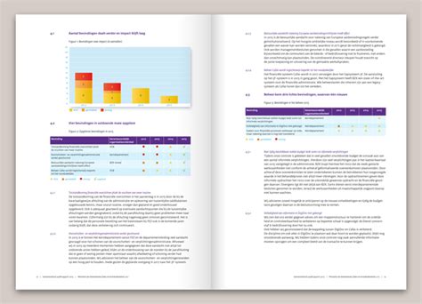 Samenvattende Auditrapporten StudioTint