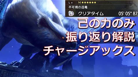 【字幕解説】ナルガクルガ希少種 チャージアックス立ち回り反省会【mhrsモンハンサンブレイク】 Youtube