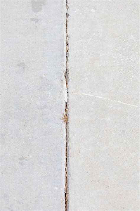 Crack In The Pavement · Free Stock Photo