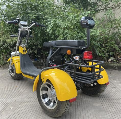 Eu Warehouse Stock Electric Scooters Electric Tricycles Cp W V