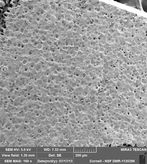 Unpolished Diamond | Micro photography, Scanning electron microscope ... 