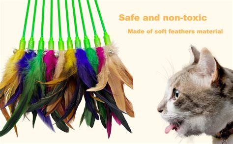 Cateneed Cat Wand Toy Cat Feather Toys 10 Pieces Feather Stick Cat Toys