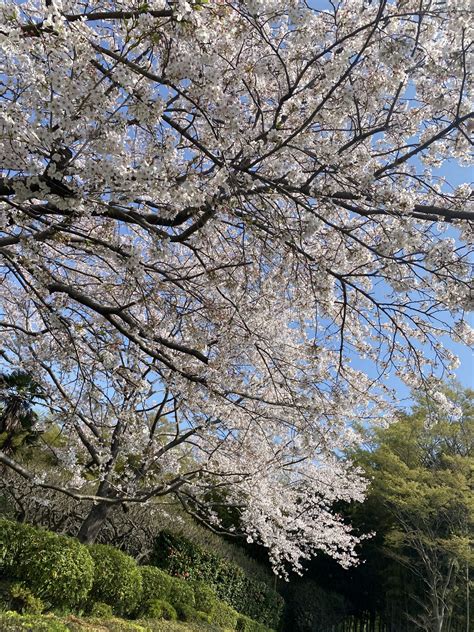 【地面師たち】はグロイし気まずい？ドラマ全話ネタバレ感想あらすじ