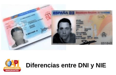Diferencias Entre Cif Nif Dni Y El Nie The Best Porn Website