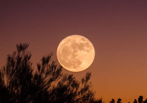 Superlua Azul poderá ser vista nesta quarta feira no Brasil Jornal