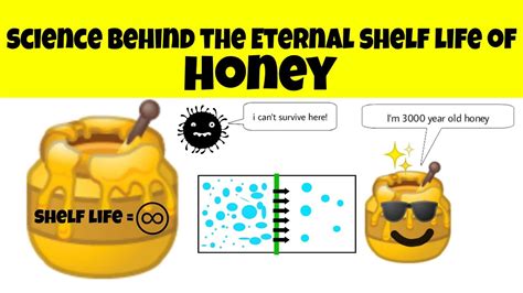 Science Behind The Eternal Shelf Life Of Honey 🍯 Why Honey Doesnt